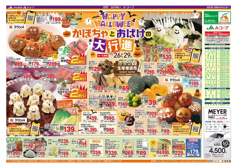 main_flyer image