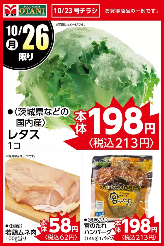 オータニのカタログ | 本日の日替わり商品はこちら | 2026-10-25T00:00:00.000Z - 2026-10-26T00:00:00.000Z