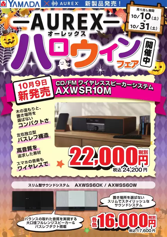 main_flyer image