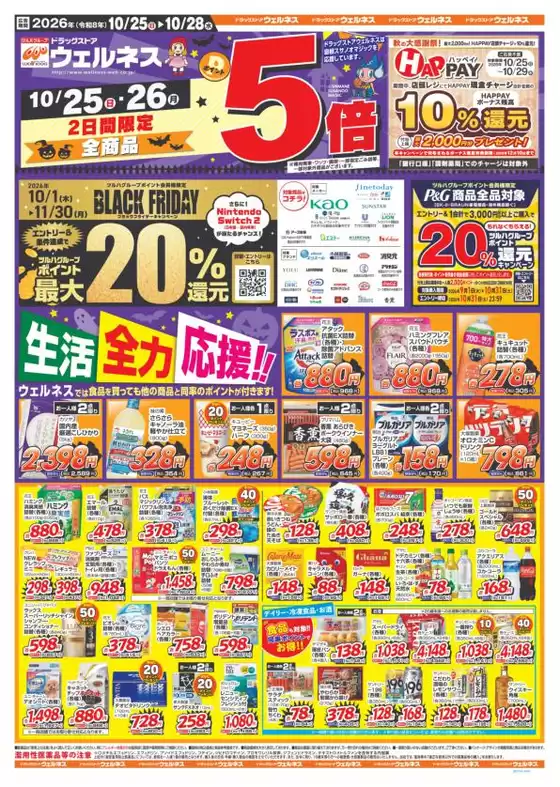main_flyer image