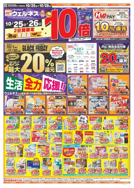 main_flyer image