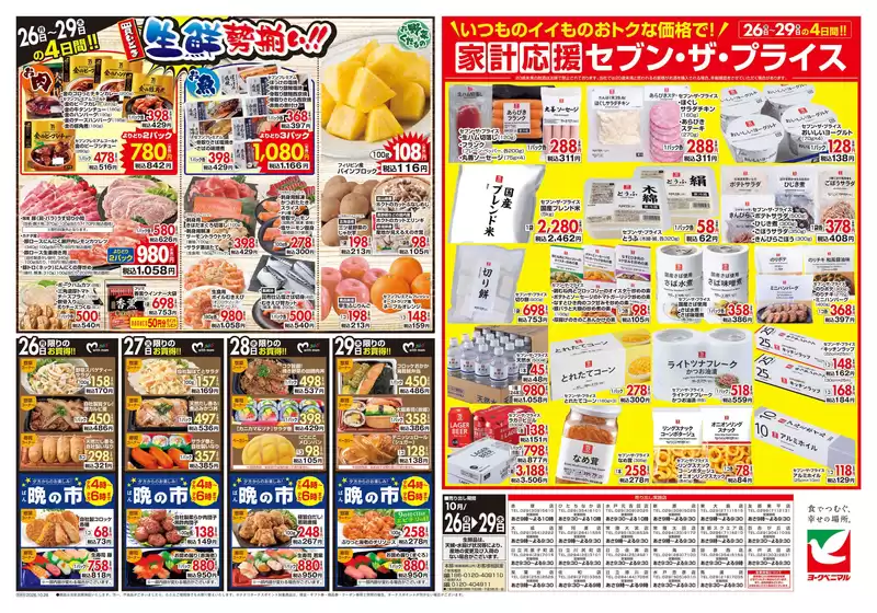 main_flyer image