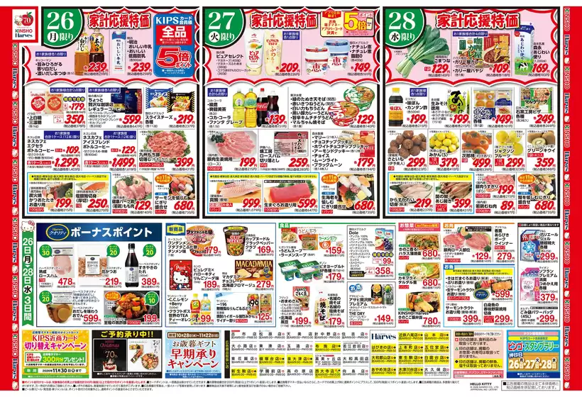 main_flyer image