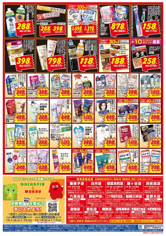 main_flyer image