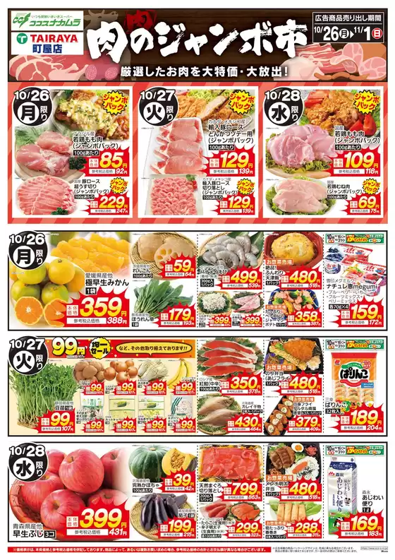 main_flyer image