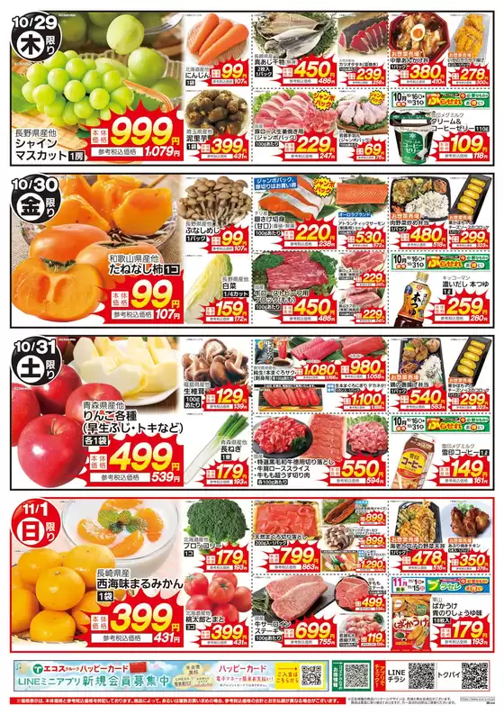 main_flyer image