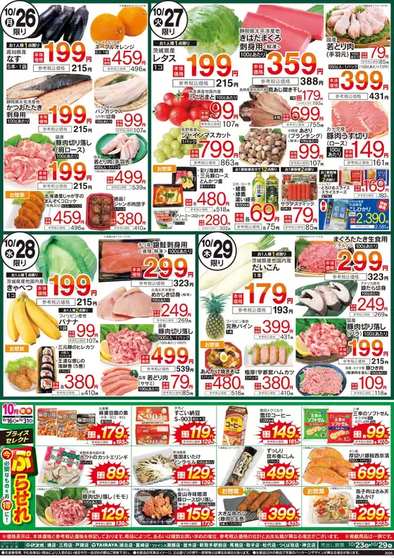 main_flyer image