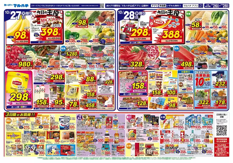 main_flyer image