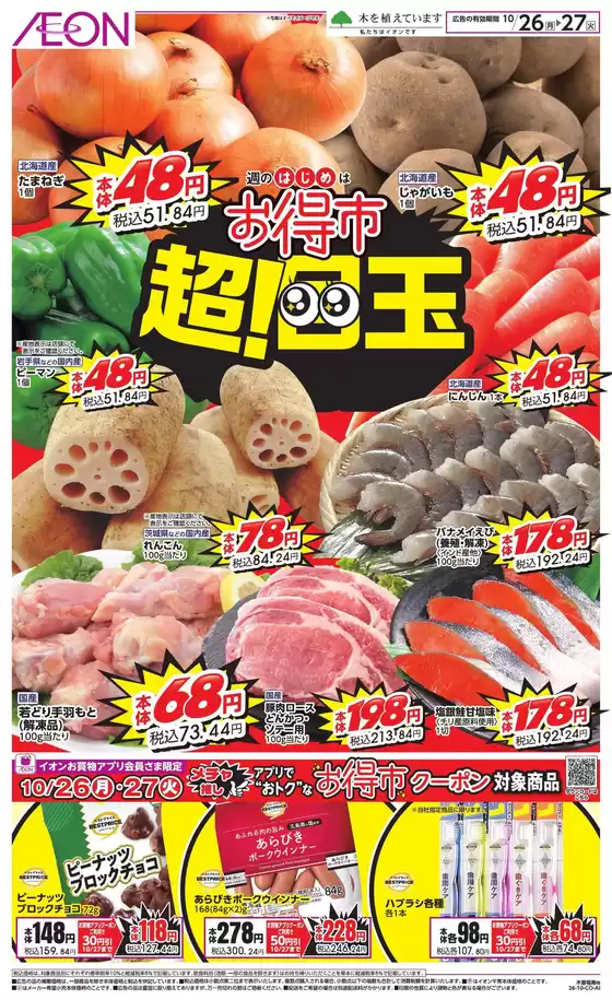 main_flyer image