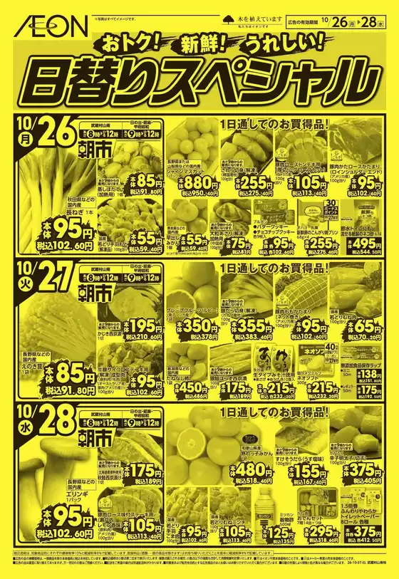 main_flyer image