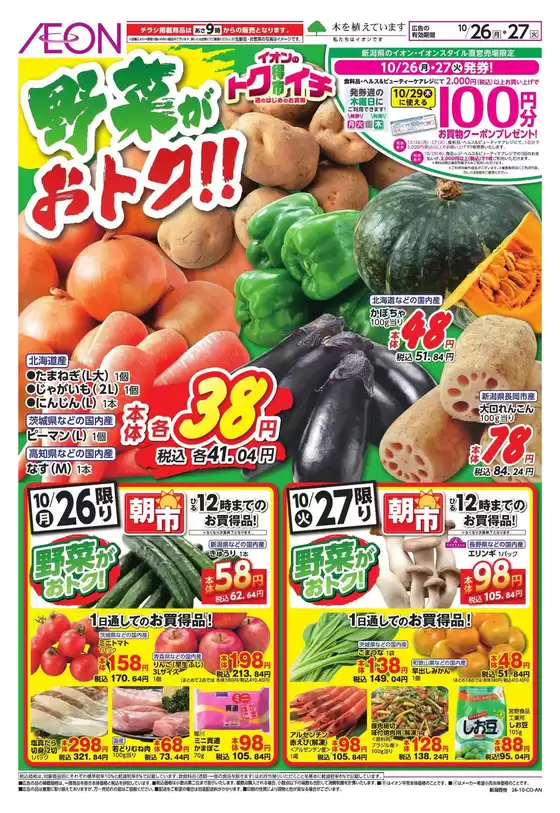 main_flyer image