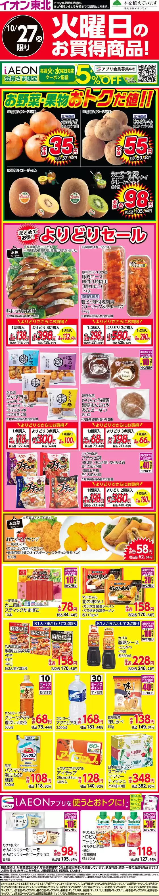 main_flyer image