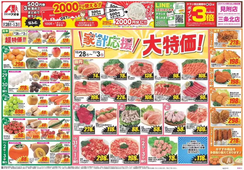 main_flyer image