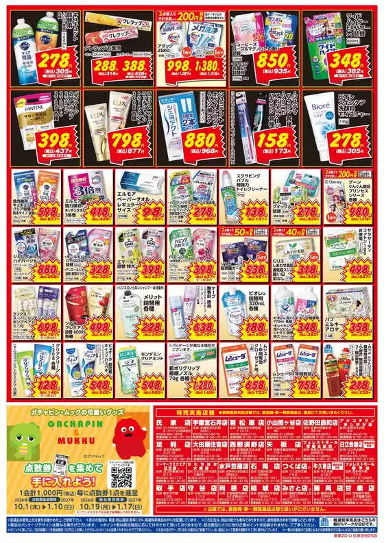 main_flyer image