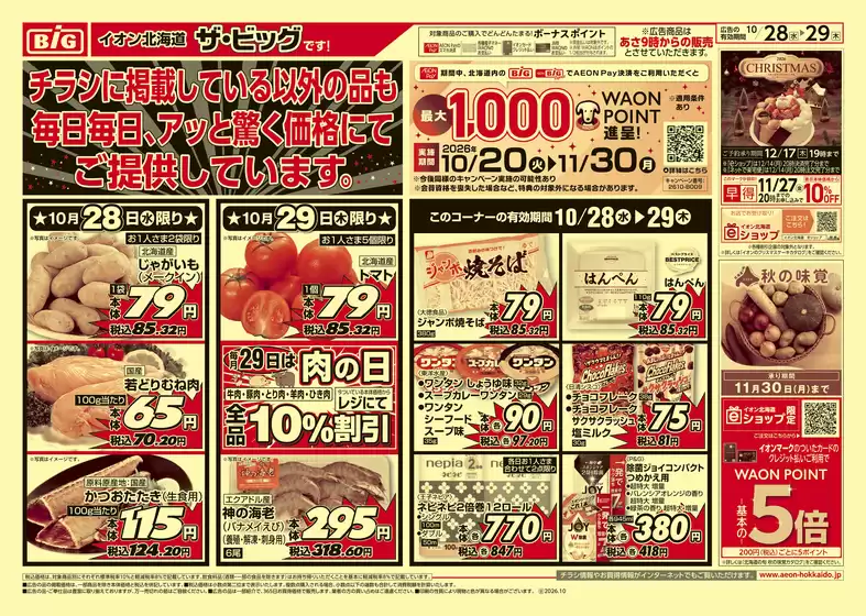 ザ・ビッグのカタログ | ザ・ビッグ チラシ | 2026-10-27T00:00:00.000Z - 2026-10-29T00:00:00.000Z