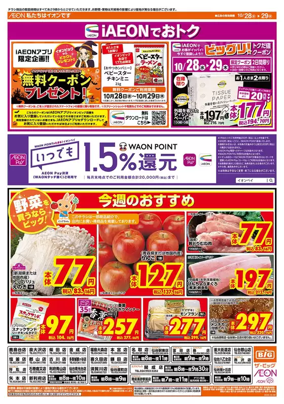 main_flyer image