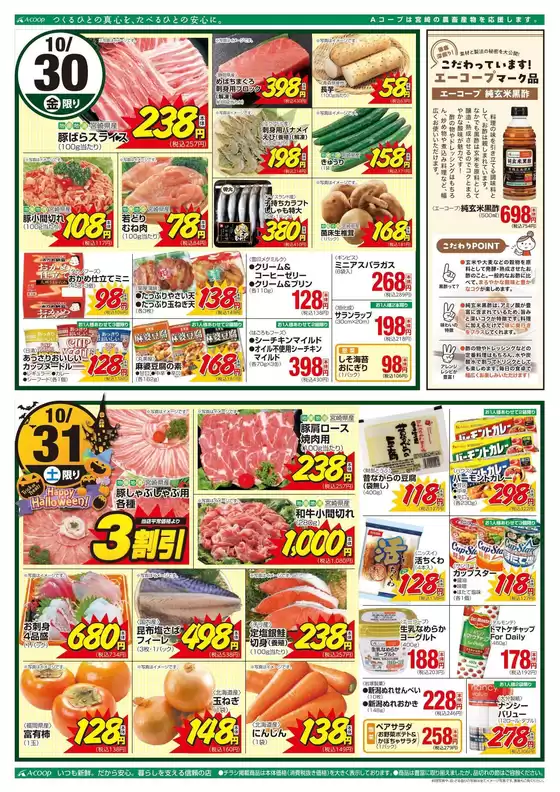 main_flyer image