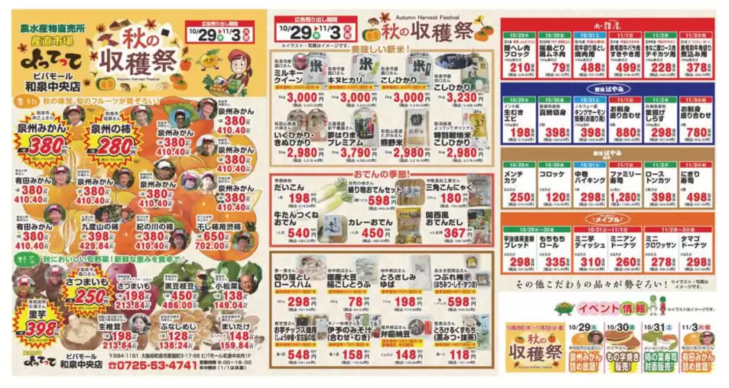 main_flyer image