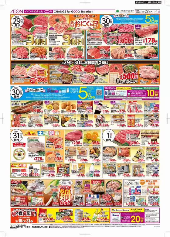 main_flyer image