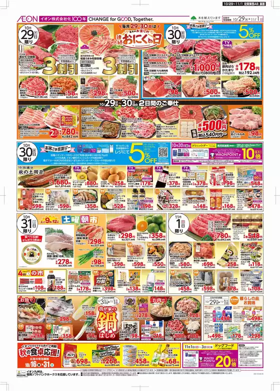 main_flyer image
