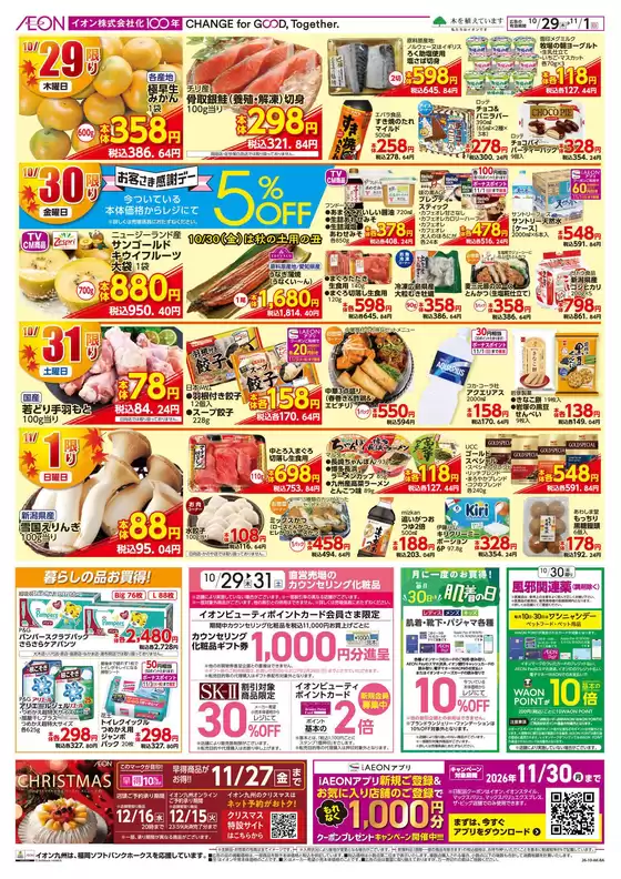 main_flyer image