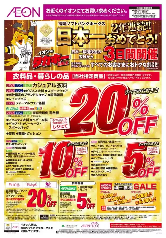 main_flyer image