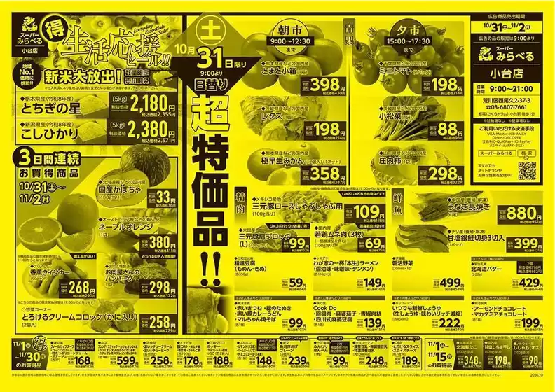main_flyer image