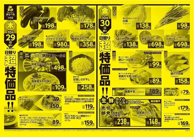 main_flyer image