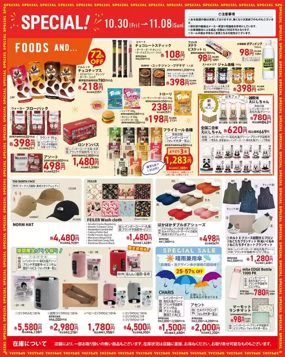 main_flyer image