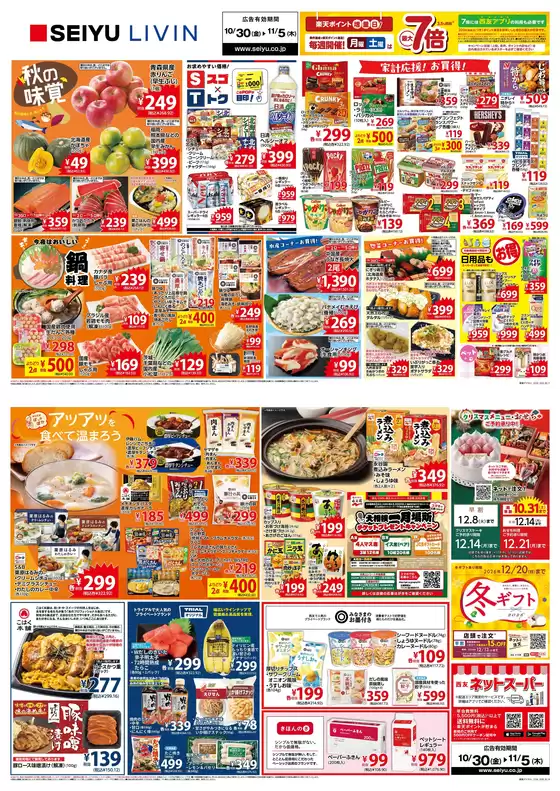 main_flyer image