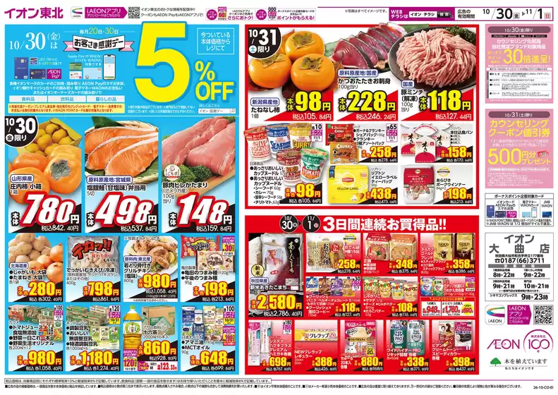 main_flyer image