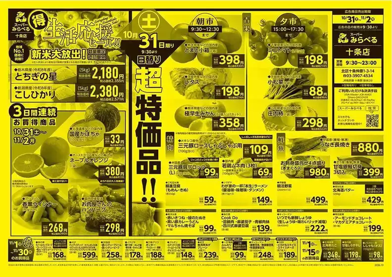 main_flyer image