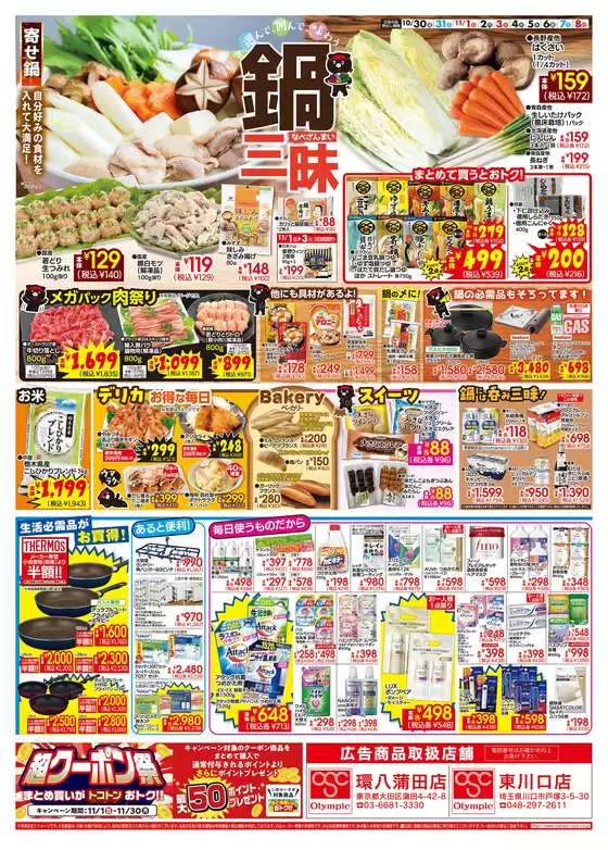 main_flyer image