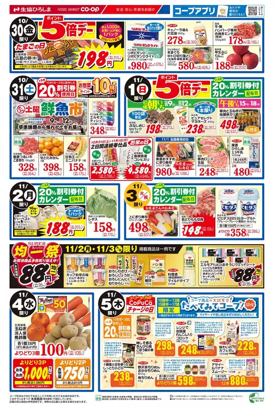 main_flyer image