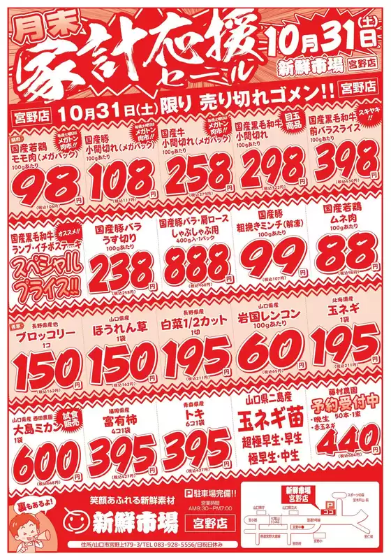 main_flyer image
