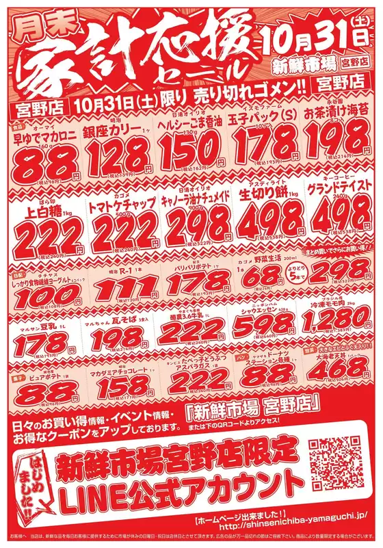 main_flyer image