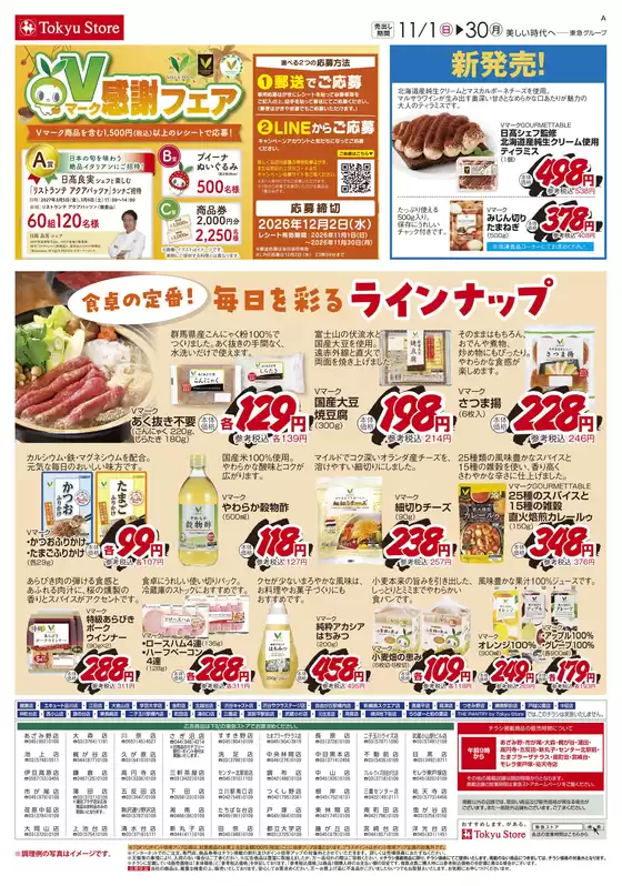 main_flyer image