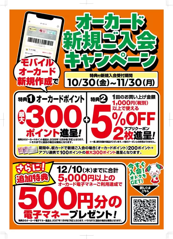 main_flyer image