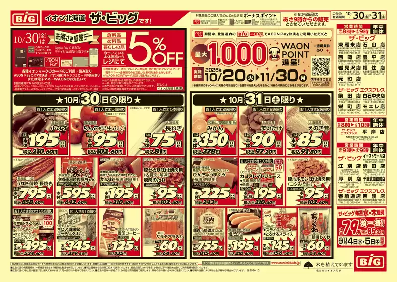 ザ・ビッグのカタログ | ザ・ビッグ チラシ | 2026-10-29T00:00:00.000Z - 2026-11-02T00:00:00.000Z
