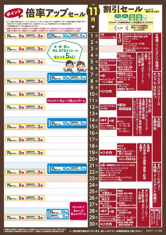 main_flyer image