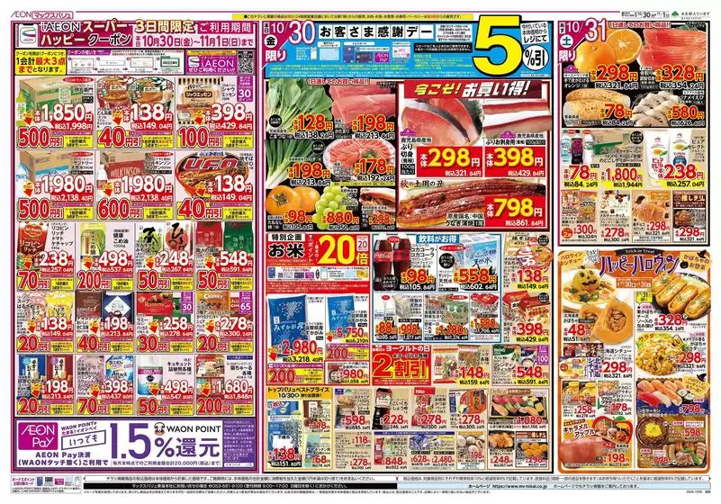 main_flyer image