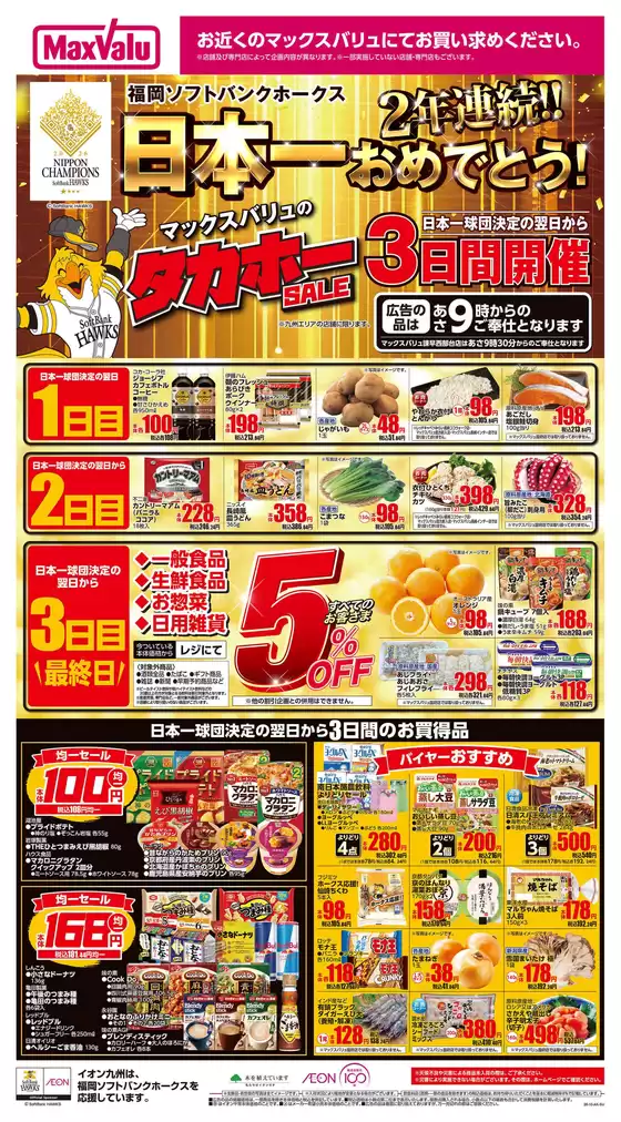 main_flyer image