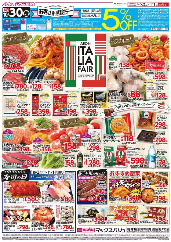 main_flyer image
