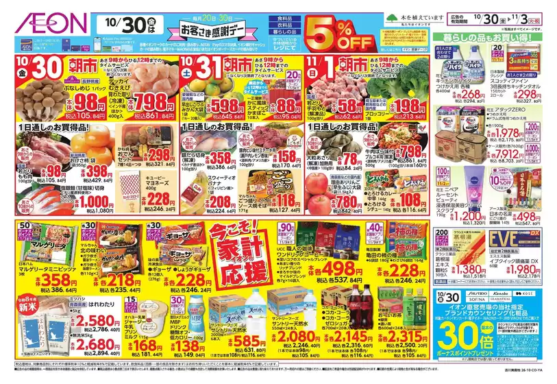 main_flyer image
