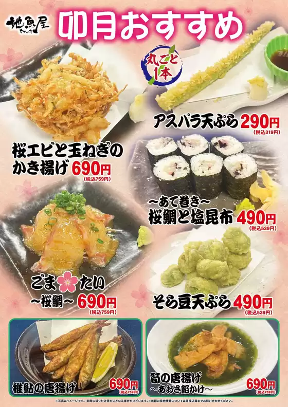 私たちの最高の掘り出し物