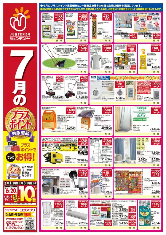 排他的な掘り出し物