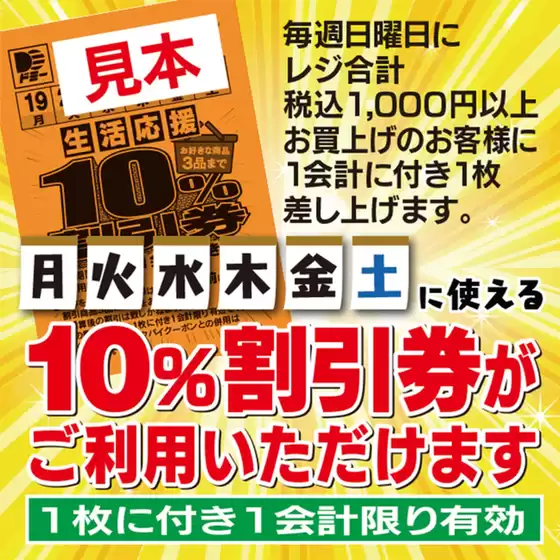 ドミー チラシ