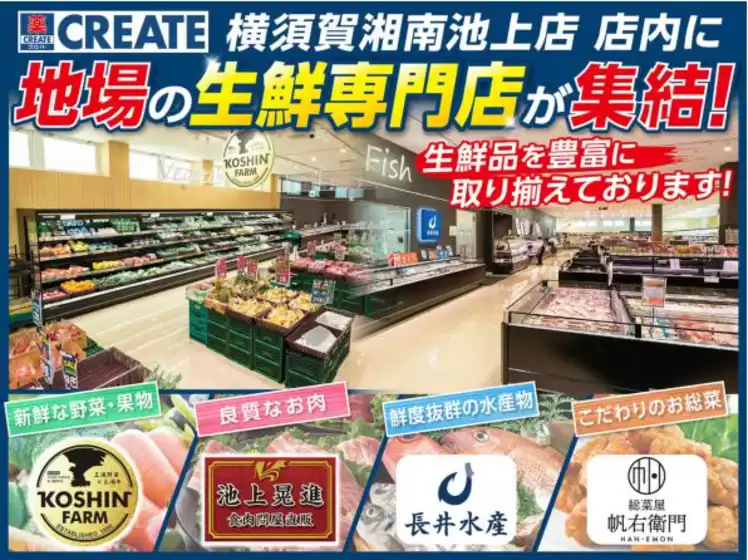 クリエイト チラシ