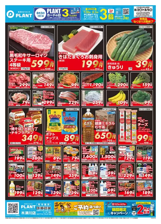 泉佐野市でのスーパーセンタープラントのカタログ | 選ばれた製品の素晴らしい割引 | 2025-08-02T00:00:00.000Z - 2025-08-05T00:00:00.000Z
