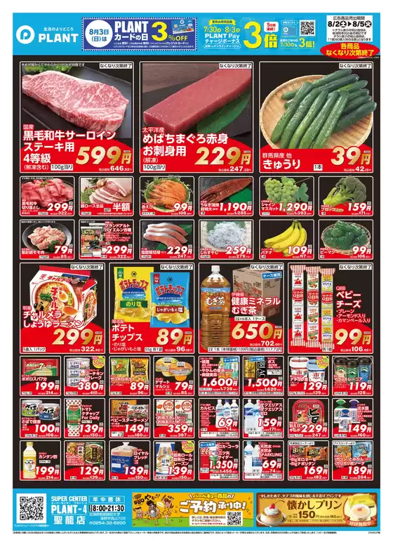 泉佐野市でのスーパーセンタープラントのカタログ | 今すぐ私たちの取引で節約 | 2025-08-02T00:00:00.000Z - 2025-08-05T00:00:00.000Z